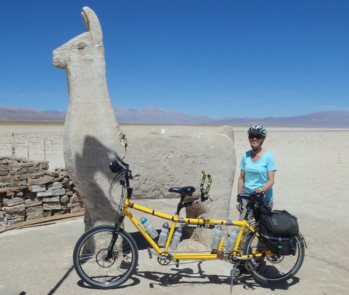 Terry and the Bee meet a big Salt Lama at Salinas Grandes, Jujuy Province, Argentina.